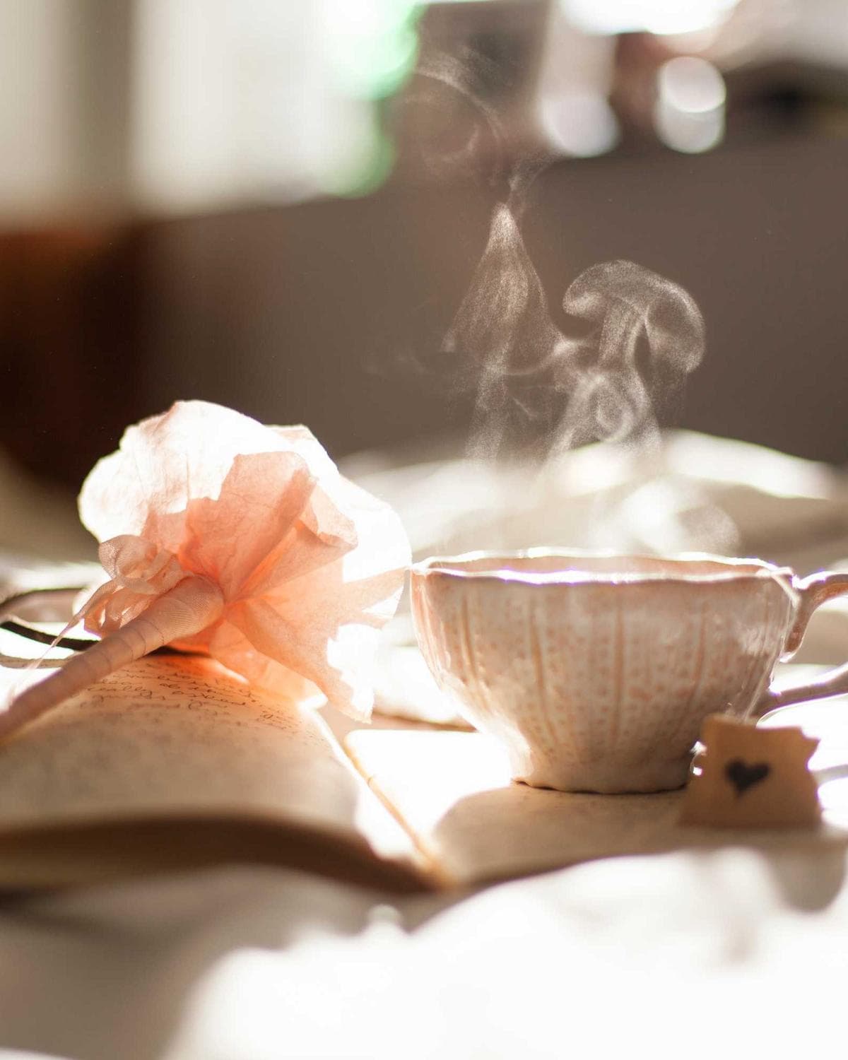 Cafe Integral