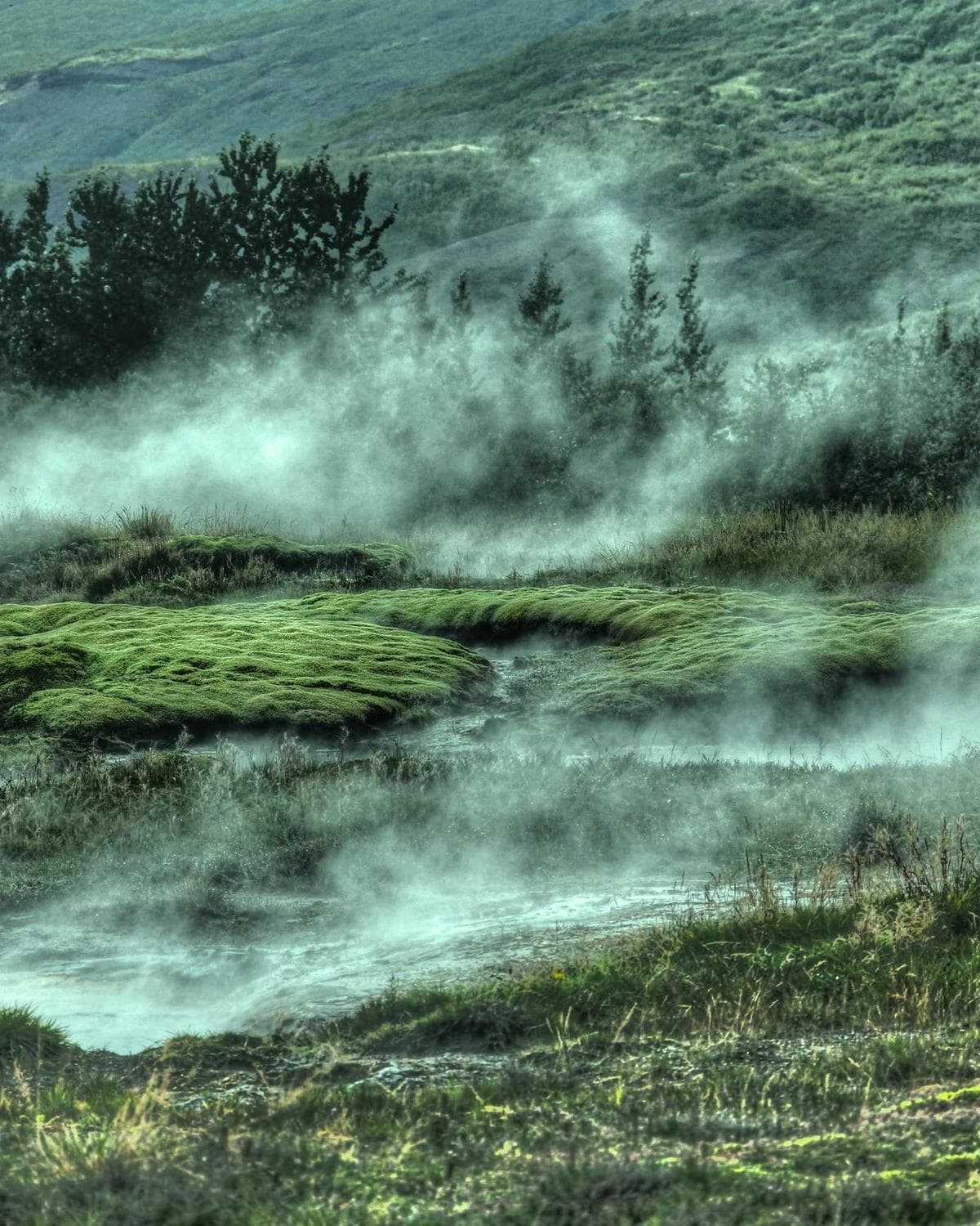 La Colombe